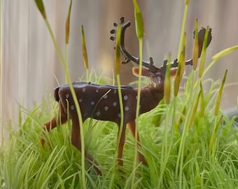 Moss Terrarium “tiny landscape with young buck”