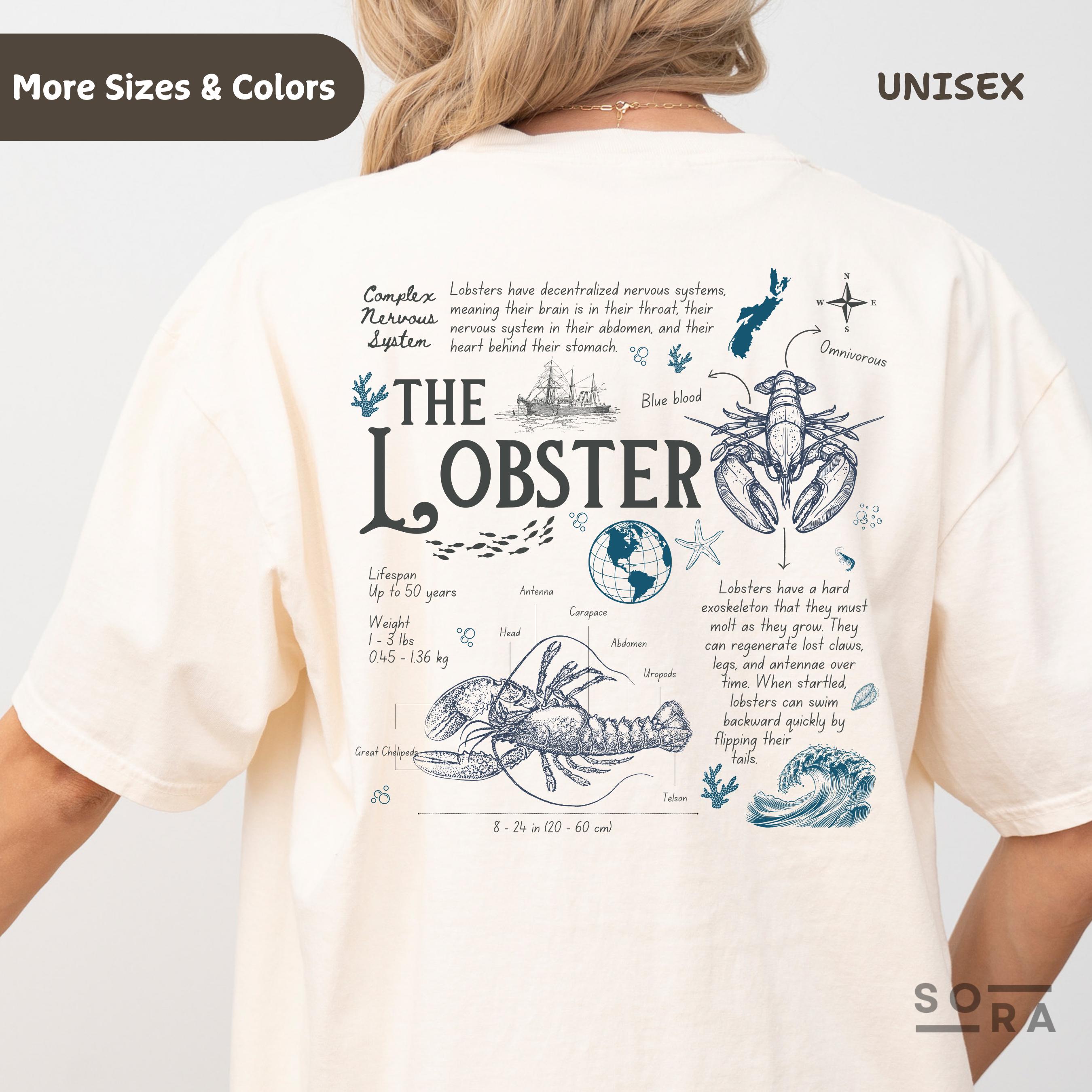 Comfort Colors Vintage Lobster Biology Facts Shirt, Fishermen Aesthetic, Lobster Shirt, Lobster Gift, Beach Vibe, Coastal Vibe, LobsterLover