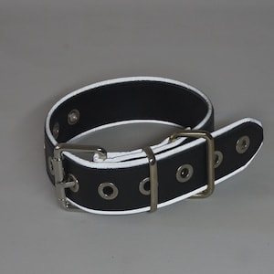 May include: Black leather dog collar with a white trim and silver buckle. The collar has multiple silver eyelets.
