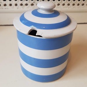 May include: A ceramic sugar bowl with a lid, featuring alternating horizontal stripes of white and light blue. The lid has a small white knob. The bowl has a small notch on the side. The sugar bowl is a kitchenware item.