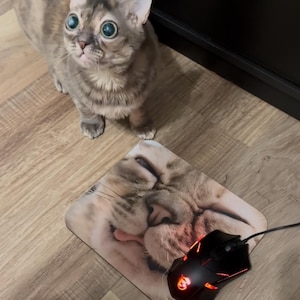 K&ouml;nnte beinhalten: Eine neugierige Katze mit gro&szlig;en, ausdrucksstarken Augen steht in der N&auml;he eines Mauspads mit einem Katzengesicht. Eine schwarze Gaming-Maus mit roten Akzenten ist mit dem Mauspad verbunden. Die Katze hat grau-braunes Fell.