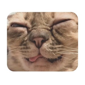 May include: A close-up image of a cat's face with its eyes closed and tongue sticking out. The cat has light brown fur with darker brown stripes and a pink nose. The cat's whiskers are visible.