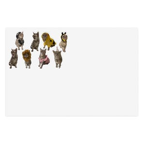 Niedliches Katzenkostüm für Katzenliebhaber, Planer Accessoires, Scrapbooking, Geschenke für Tierbesitzer, lustiges Dekor