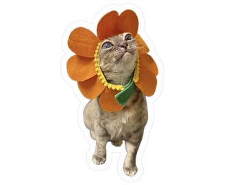 May include: A light brown tabby cat wearing a bright orange felt flower headpiece. The costume features large, rounded orange petals surrounding the cat's face, accented with a yellow pom-pom trim and a small green leaf detail under the chin.