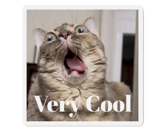 Gumbus Very Cool Magnet