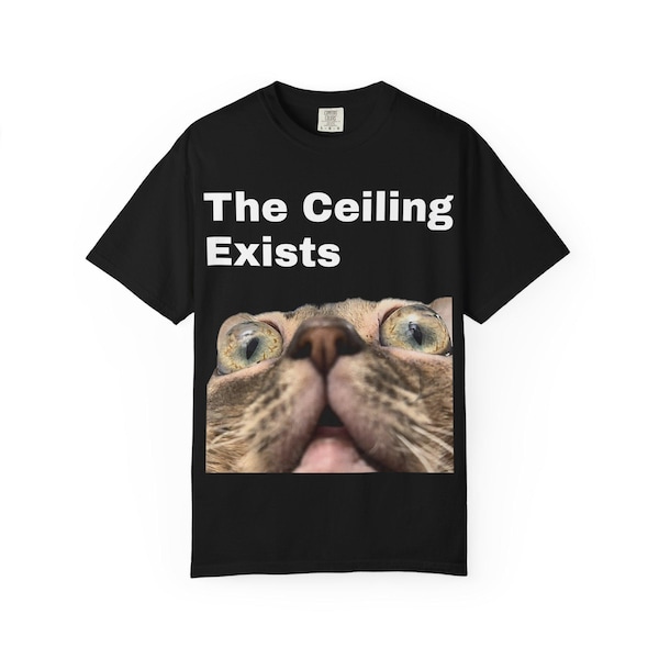 Gumbus The Ceiling Exists Unisex T-shirt