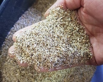 Mariendistelsamen (CHOUK) 500 Gramm