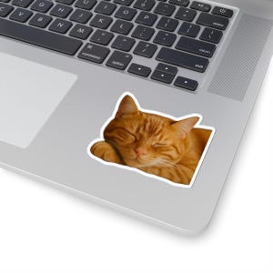 Cozy Orange Cat (sticker)