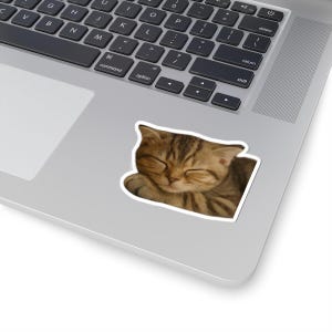 Homebody Cat (sticker)