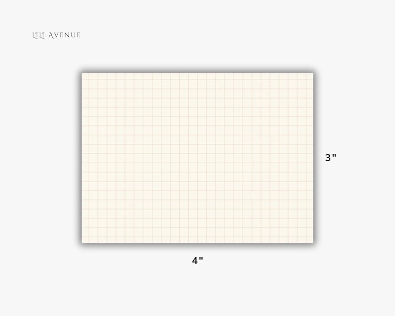 May include: A rectangular cream-colored grid paper note card with thin brown lines. The text 'LILI AVENUE' is printed in the top left corner. The card measures 4 inches in width and 3 inches in height as indicated by the labels.
