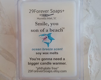 Shark Week Gift Soy Wax Melt, ocean scented soy wax melt, beach themed gift, Jaws themed gift, jaws memorabilia gift