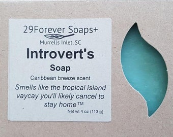Introvert's Soap funny gift for introvert, funny gift for homebody, funny social anxiety gift, tropical scent soap