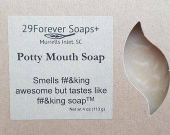 Potty Mouth Soap, Funny Handmade Soap, Wash Your Mouth Out With Soap, Funny Soap, Gag Gift for Coworker Friend, Downy Soap, April Fresh