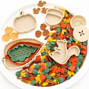 May include: A sensory play set featuring silicone molds shaped like a pumpkin, acorn, leaf, and squirrel, alongside small loose parts including orange, yellow, green, and brown felt leaves, wooden rings, and small silicone shapes in a white tray.