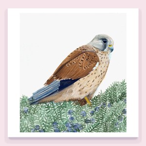 Carte aquarelle, le faucon crécerelle, imprimée sur papier beaux arts
