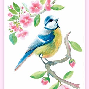 Illustration, mésange bleue, Aquarelle imprimée sur papier beaux arts
