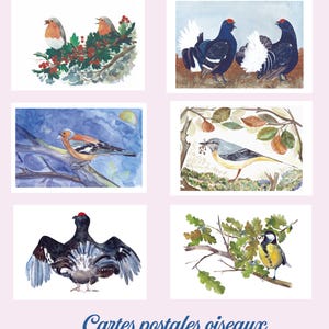 Cartes postales, 6 illustrations d' oiseaux peints à l'aquarelle, tétra, mesange, rouge-gorge, bergeronnette, pinson.