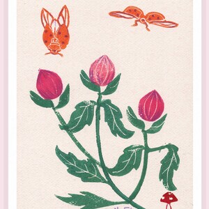 2 illustrations, Coccinelles et bouton de fleur au printemps, lino gravure et crayon.