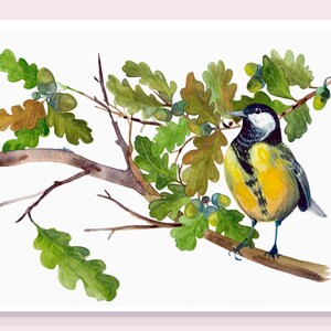 Illustration, la mésange charbonnière dans un chêne, aquarelle imprimée sur papier fine art