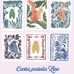 Cartes postales, 6 illustrations en lino gravure imprimée : Merle, lapin, cigale, écureuil, et algues d'eau douce