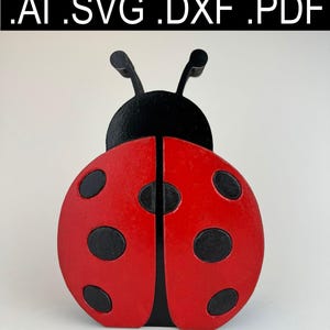 Ladybird Piggy Bank SVG Cut File – Laser-Ready Money Box Template