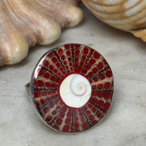 May include: A circular ring featuring a central white spiral shell inlay surrounded by a red and tan honeycomb pattern. The ring has a polished silver-tone metal band and setting, showcasing a detailed geometric design on the face of the jewellery.