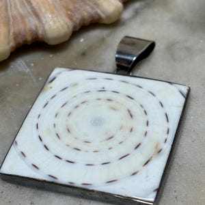 May include: Square pendant with a white and brown spiral design, set in a silver-coloured metal frame. The pendant has a bail for a chain. A seashell is visible in the background.