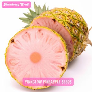 15 Pinkglow Pineapple Seeds, Tropical Fruit Seeds, Rare Pink Pineapple, Exotic Sweet Flavor, Home Garden, Gift For Growers
