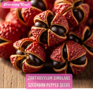 5 Szechuan Pepper Seeds, Zanthoxylum Simulans, Spicy Aromatic Shrub, Rare Asian Herb Plant, Organic Garden Grow, Culinary Spice, US Shipping