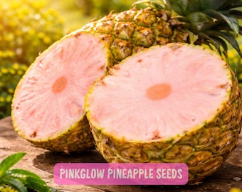 15 Pinkglow Pineapple Seeds: Rare Pink Fruit, Home Garden