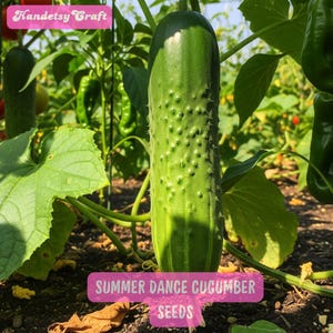 May include: A close-up of a vibrant green cucumber growing on a vine, surrounded by lush green leaves. The cucumber has a textured surface with small bumps. The image includes text that reads "Summer Dance Cucumber Seeds" and "Handetsy Craft".