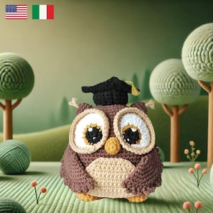 Puede incluir: Un búho de crochet marrón y beige que lleva una gorra de graduación negra con un borla dorada. El búho tiene ojos grandes y blancos con pupilas negras. El búho está sentado en una superficie verde cubierta de hierba con un fondo borroso de árboles verdes.