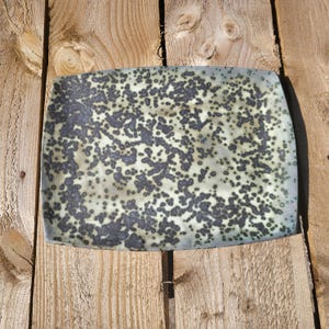 Puede incluir: Plato rectangular de cerámica para servir con un diseño moteado. El plato tiene esquinas redondeadas y un color base verde claro y crema. Puntos de color gris oscuro están dispersos por la superficie, creando un patrón único. El plato está colocado sobre una superficie de madera.