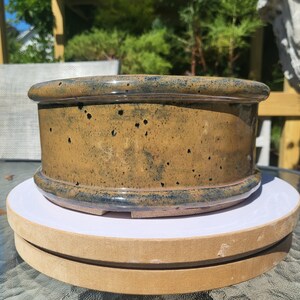 May include: A cylindrical ceramic bonsai pot with a glossy mustard yellow glaze featuring dark blue speckles and a thick, rounded rim. The pot has a smooth, uniform texture and a wide, open top, showcasing a deep, earthy color palette throughout.