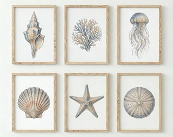 Coastal Wall Art Set of 6 Prints, Watercolor Seashell Starfish Jellyfish, Ocean Print Set, Beach House Decor, Nautical Poster Set of 6