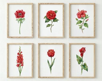 Red Flower Botanical Print Set of 6, Watercolor Rose Tulip Hibiscus Calla Lily Anemone, Vintage Garden Gallery Wall Art
