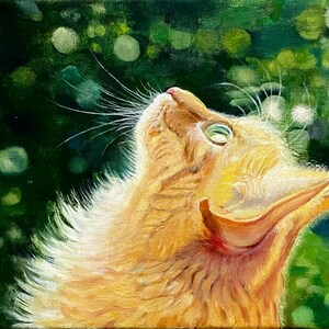 Hand painted Art of Red Cat Oil painting The Kitten Under the Sun Wall decor Original art Custom pet portrait Cat portrait