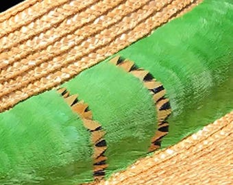Hawaiian Feather Lei, Hat Band Humu Papa, Lei Hulu, Diagonal