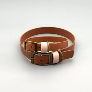 Waterproof dog collar made of BioThane – light brown | Can be personalized with engraving | Biothane collar 19 mm and 25 mm