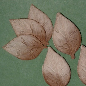 May include: Six brown felt leaves with a textured surface. The leaves are arranged in a semi-circle on a green background.