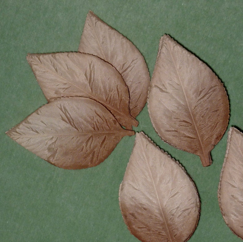 May include: Six brown felt leaves with a textured surface. The leaves are arranged in a semi-circle on a green background.