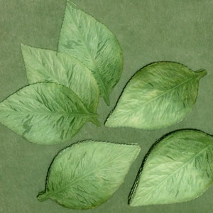 May include: Six green felt leaves with a veined texture. The leaves are arranged in a cluster on a green background.