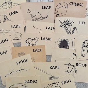 May include: A set of flashcards with various words and illustrations. The words include "rower", "lava", "lake", "lion", "leap", "cheese", "lash", "lamb", "lace", "ridge", "radio", "rake", "rain", "roof", and "lily". The illustrations include a person rowing a boat, a volcano erupting, a lake, a lion, a kangaroo jumping, a piece of cheese, a whip, a lamb, a shoelace, a mountain range, a radio, a rake, a person holding an umbrella in the rain, a roof, and a lily flower.