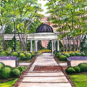 Bell Hall / The Cupola / Milledgeville, Georgia / Print