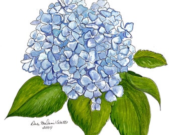 Blue Hydrangea/ Print