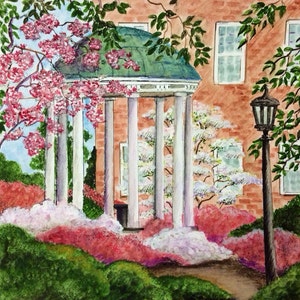 University of North Carolina / The Old Well / Chapel Hill, North Carolina / Print image 1