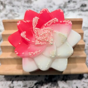 Sugar Magnolia