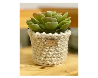 Cadeau pour elle / ami / couverture de plante au crochet / faux pull succulent / décor de ferme / décor de maison / décor de dortoir / pull de plante en fil volumineux