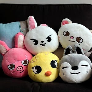 Skzoo pluche kussen 12-14 inch kussen, decoratief kussen van Stray Kids, kerstcadeau Wolf Chan, Leebit, Jiniret, Bbokkari Puppy M