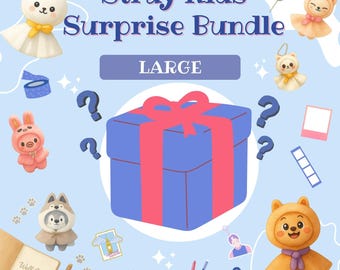 Stray Kids Large Surprise Bundle bias Bag Custom Merch Gift Bag Goodie Bag Bookmark Keychain, Stickers, Photocards, Plushies, Photos & More!